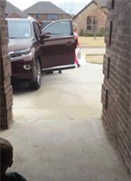 新郎抱不起老婆的搞笑视频,新郎抱不动新娘怎么化解尴尬