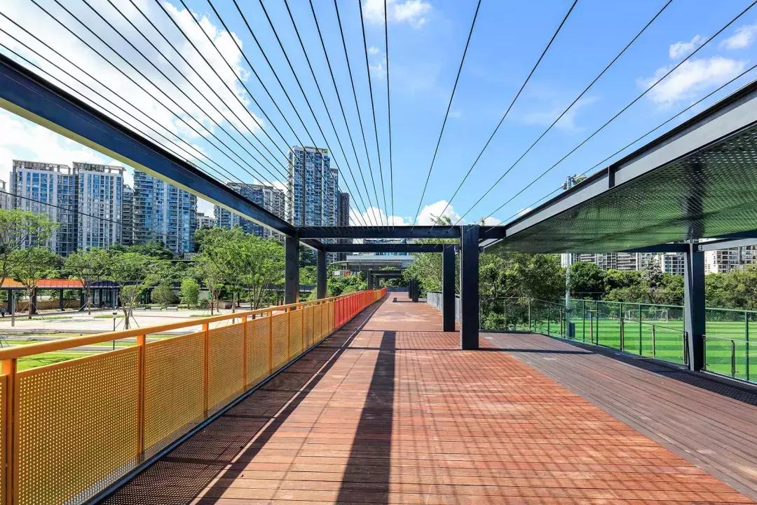 春日赏花深圳,深圳春游赏花