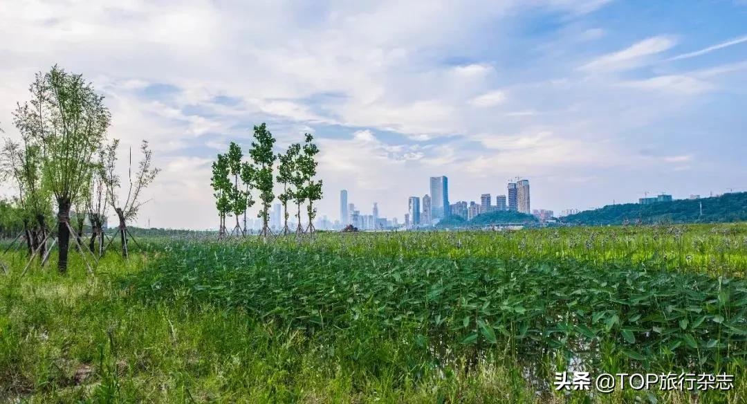 原来长沙隐藏了这14个人少景美的江心洲!不出城就能感受“海岛风情”,有些可以追溯到五代十国……