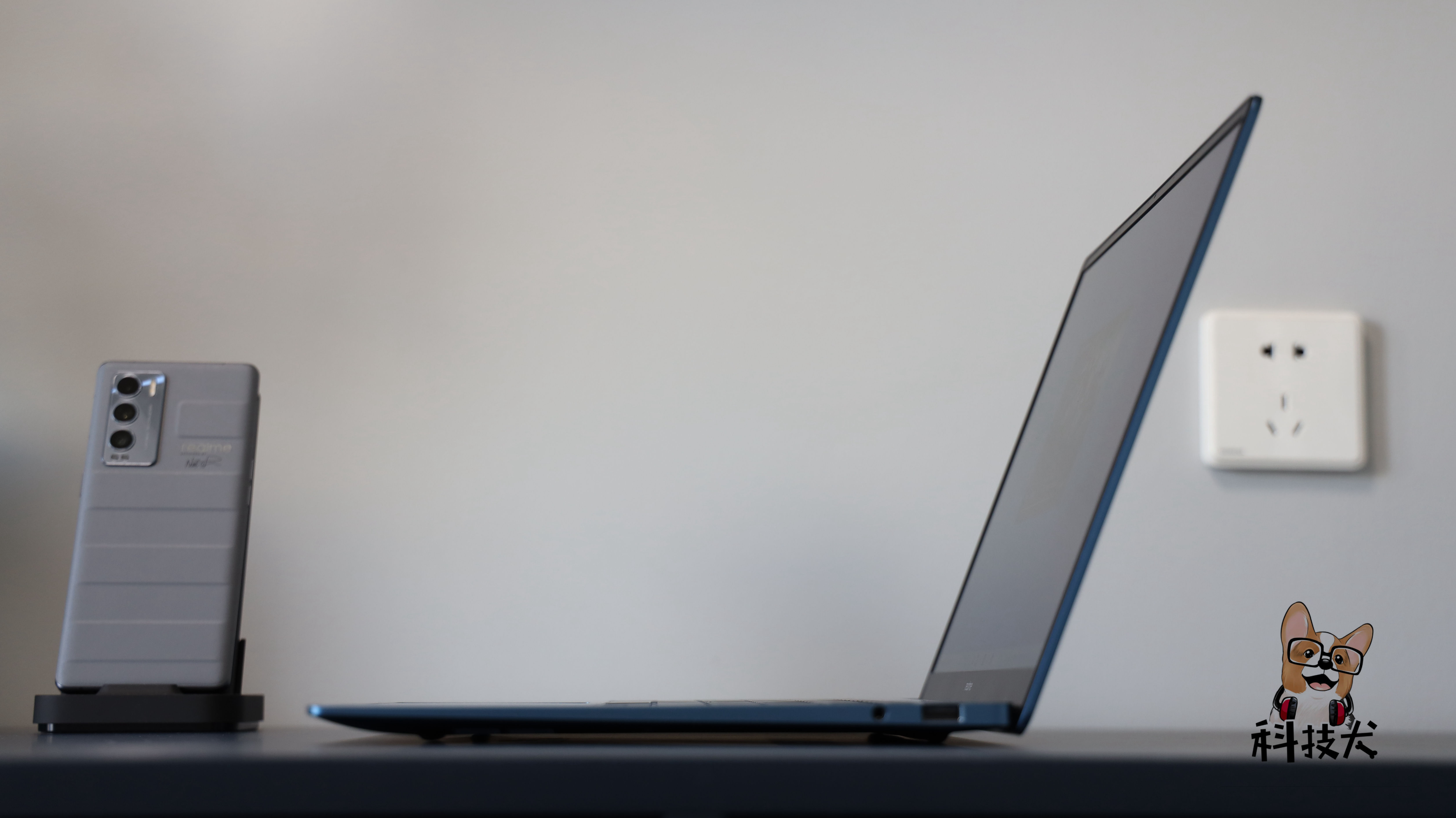 柯基狗幼犬多少钱一只,柯基犬最值得买的耳机