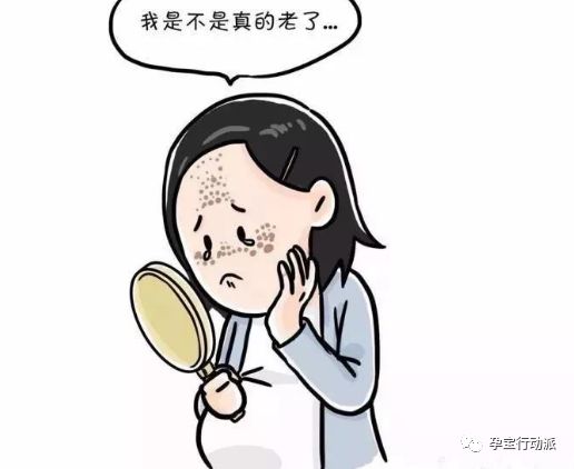 孕期周刊，第十三周