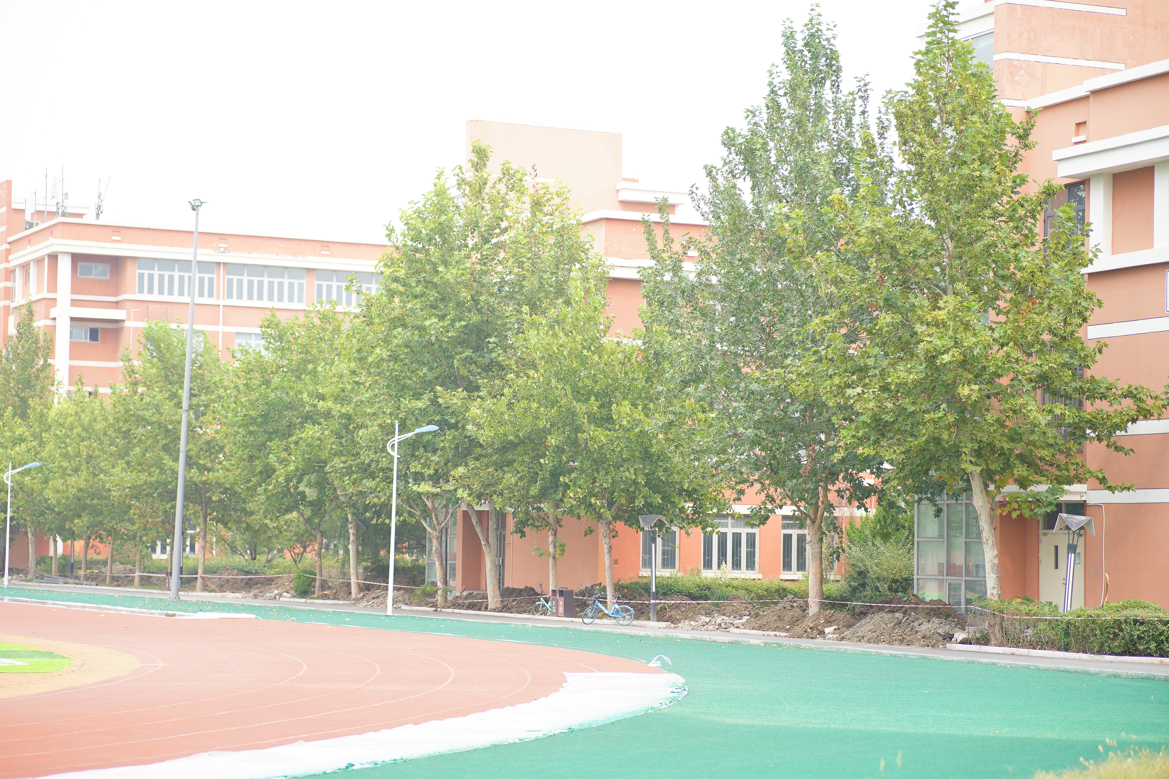 瀹濆澔浜触鏂板煄涓轰粈涔堟槸楝煎煄,瀹濆澔浜触鏂板煄杩樻槸楝煎煄