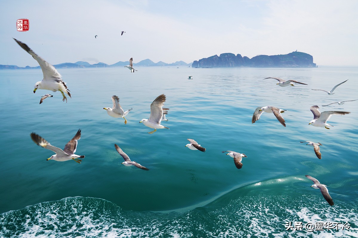 威海5月游记,威海最美一日游