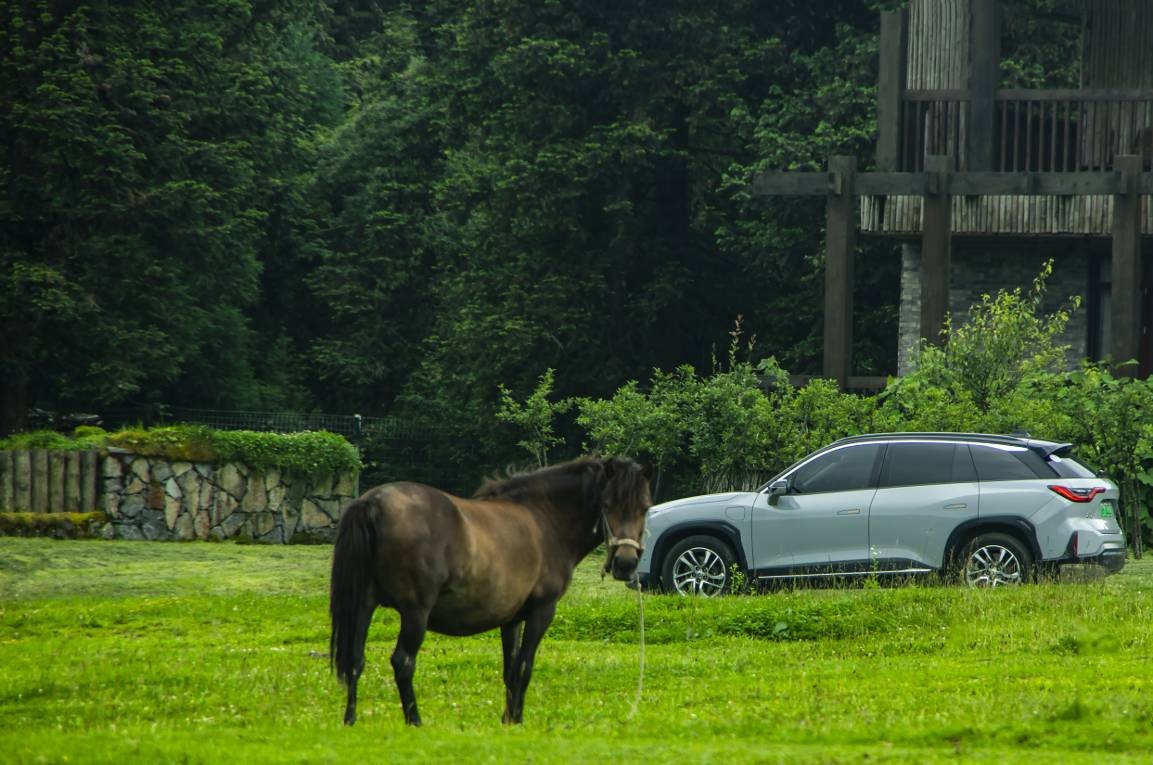 蔚来es8深度免费体验者,蔚来es8官方2023升级方案体验