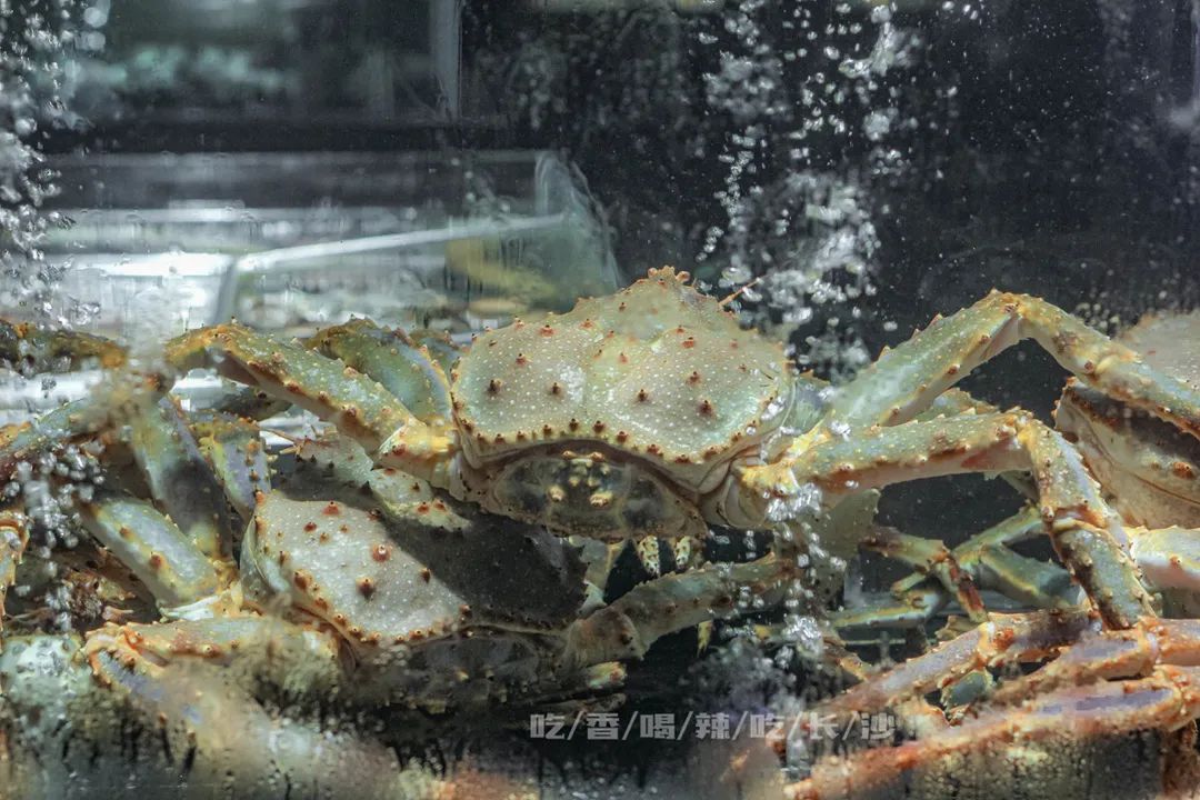 长沙分量十足的餐厅,长沙一家超级赞的餐厅