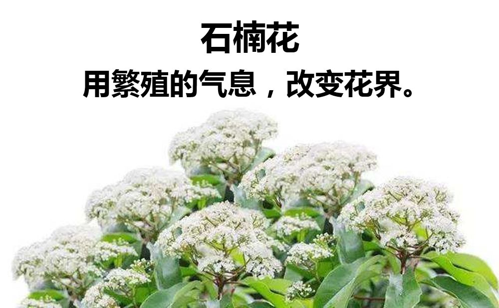 张大夫！放过你老公吧