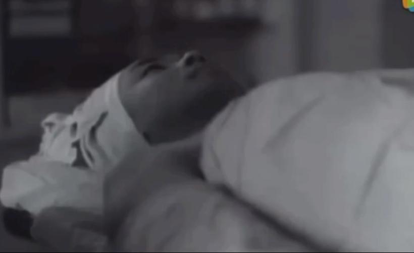 毒舌金星的人生经历,毒舌金星深度解读