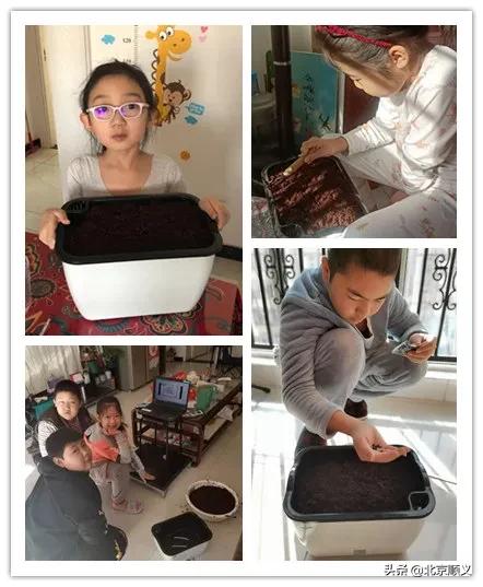 旺泉街道宏城花园在顺过年居民享“故乡温情”，过暖心年！