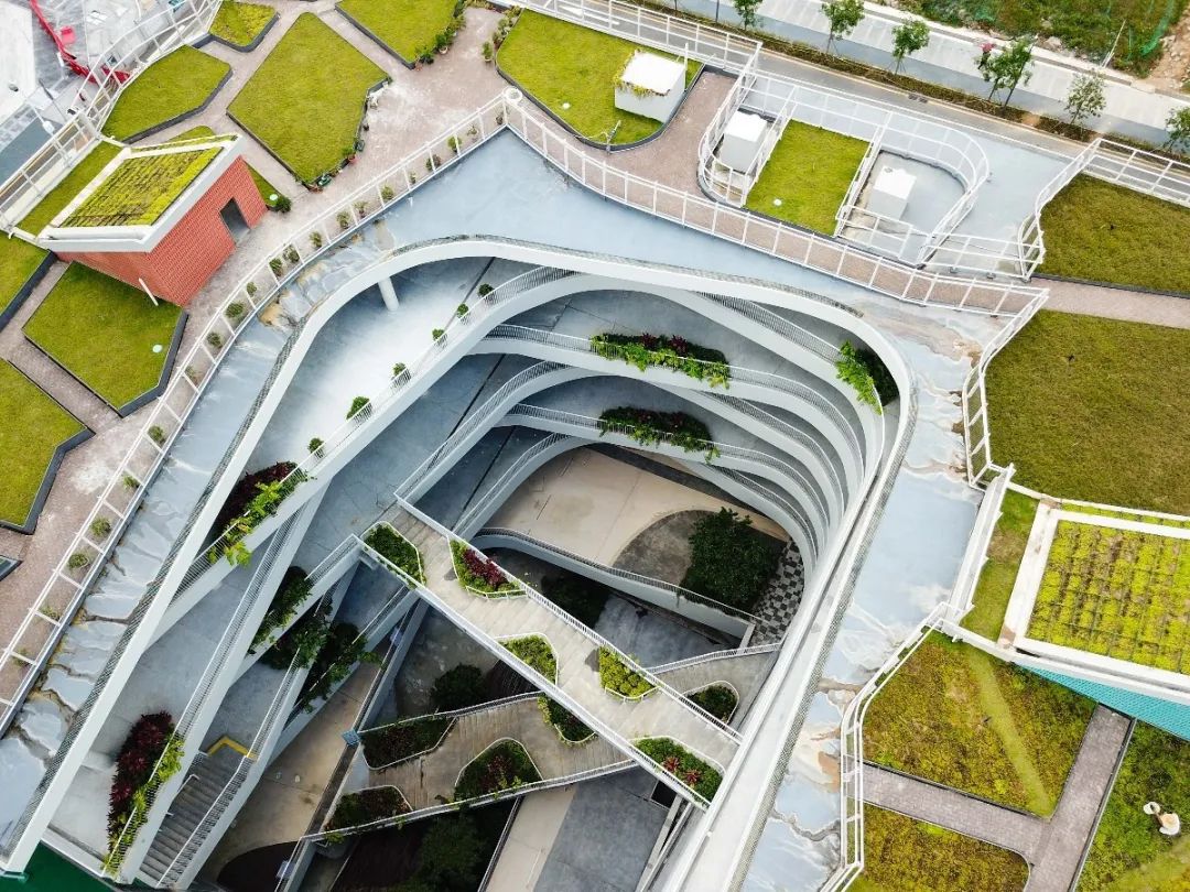 家门口的好学校第六期丨红岭实验小学