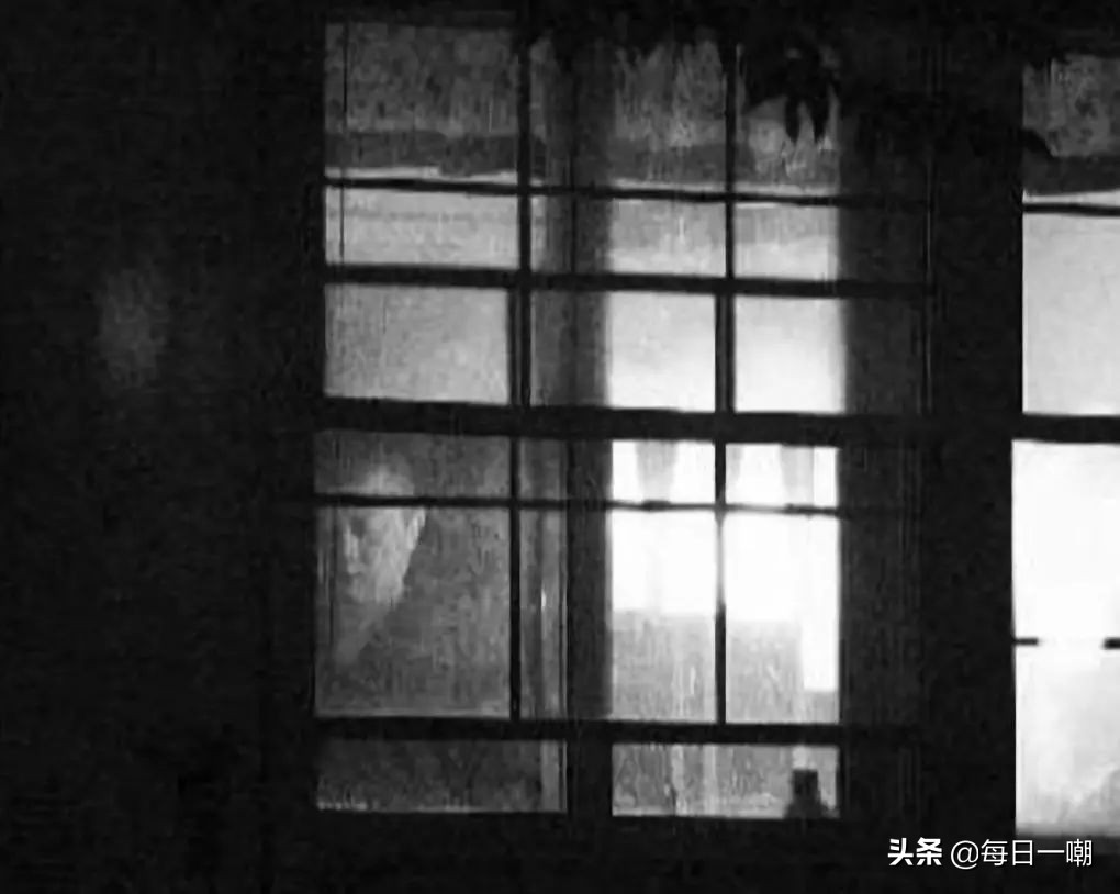 王子文高铁脚踩小桌,王子文道歉脚踩高铁桌板