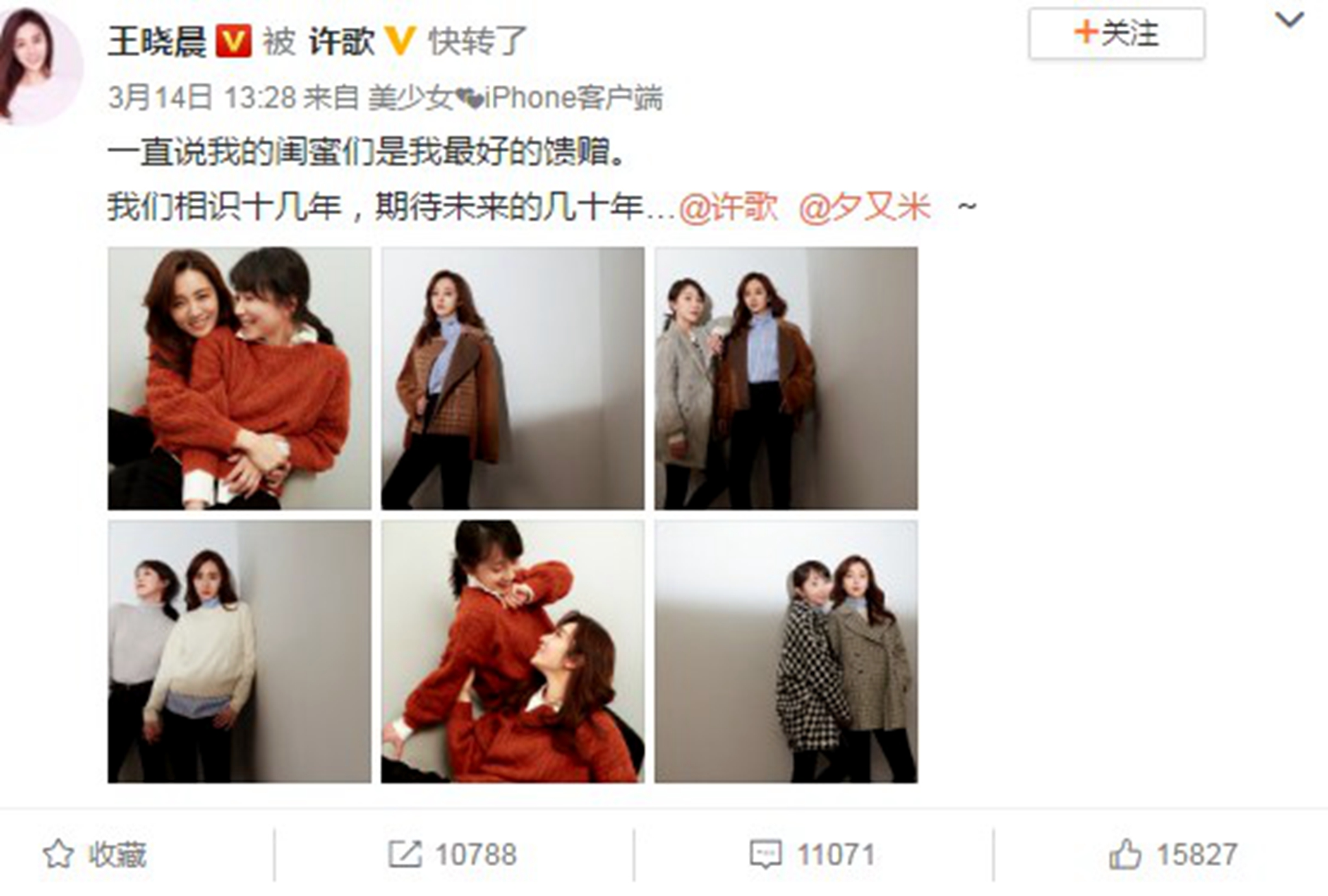 王晓晨气质绝美,王晓晨大气甜美知性率真