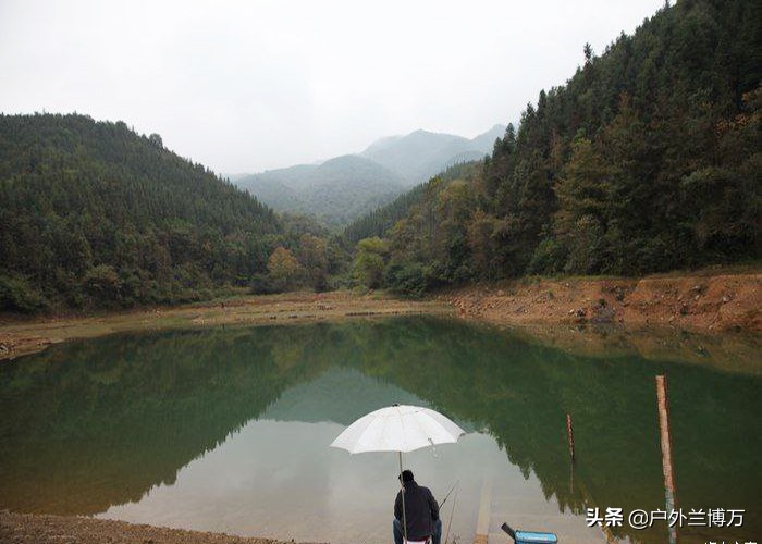 野钓心得,野钓心得分享大全
