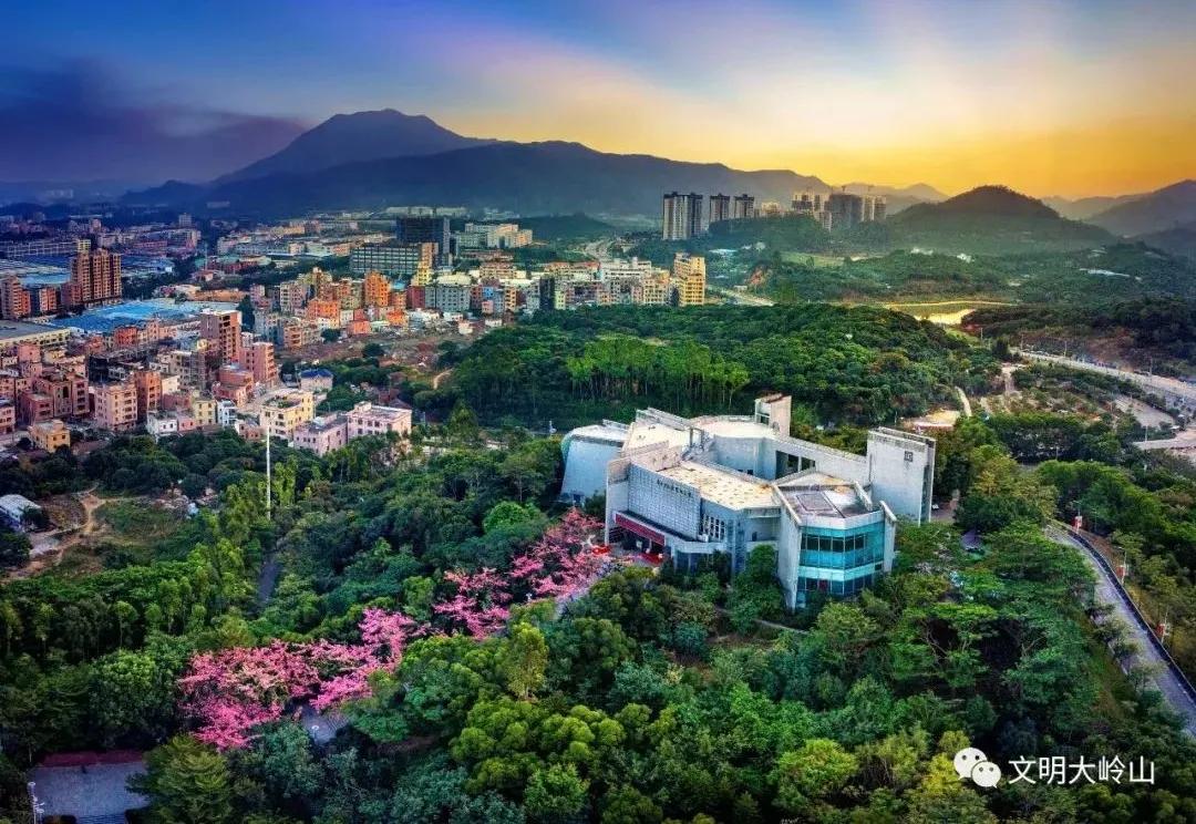 东莞大岭山镇：湾区制造名镇，再来一场文化突围