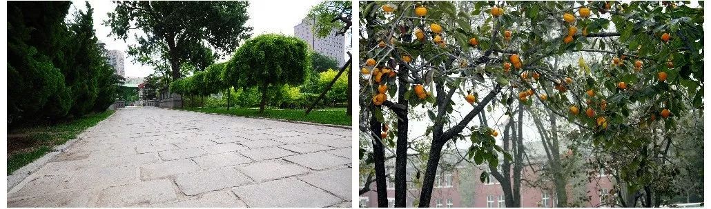 二十四中高考视频,全景看二十四高中