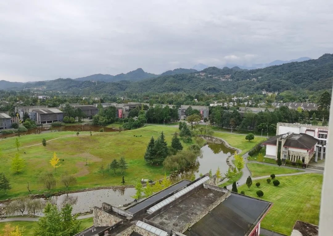 东软，青城山下最大的养老院型综合网吧