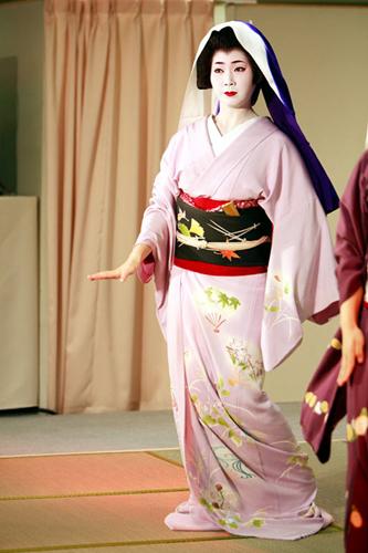 明治时期日本艺伎,日本艺伎的神秘人生