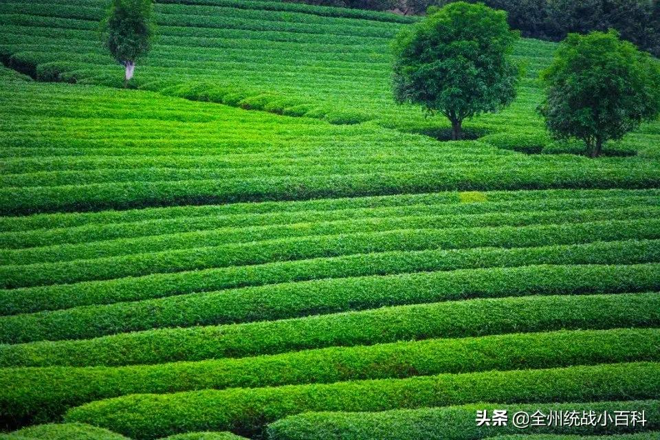 央视宣传全州,央视向全国推介吉林