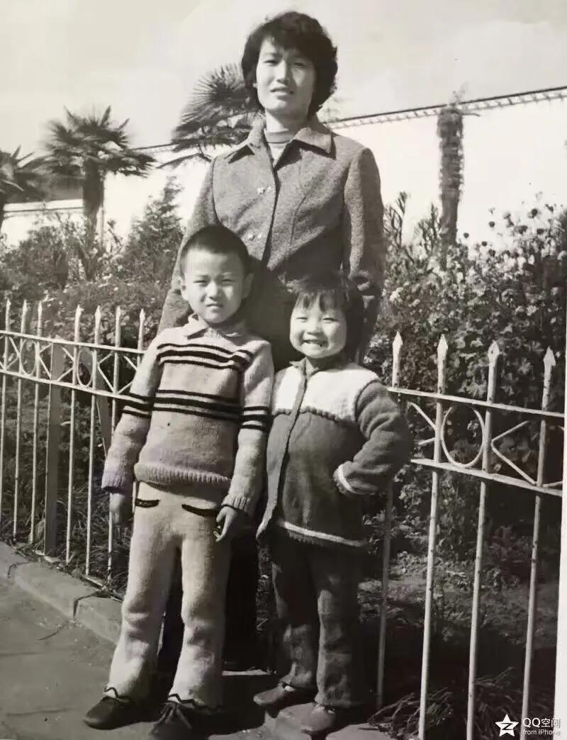 纪念我的母亲,纪念我的母亲的文章