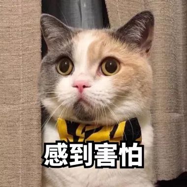 比*毒冰**毒性还大的“0号胶囊”你可知道？