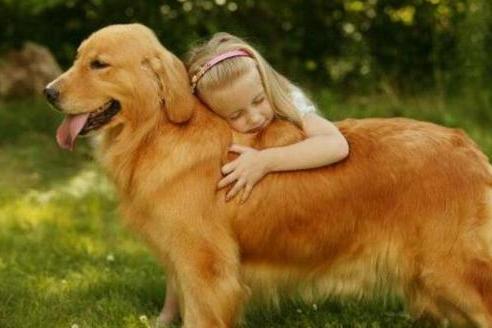 世界上体型巨大的狗,世界上体型最大的犬是什么犬