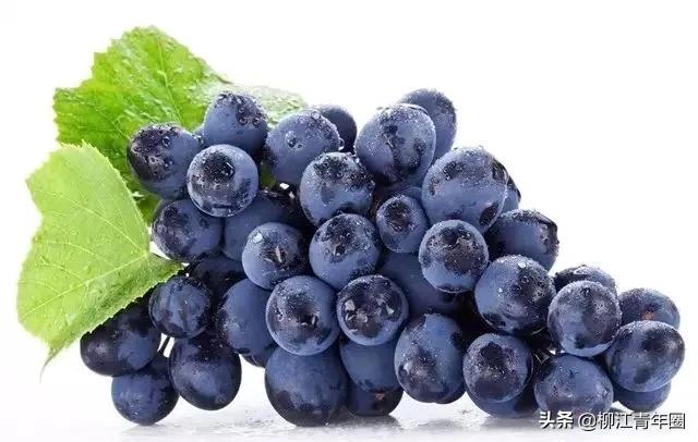 水果注意事项及禁忌,空腹吃水果胃疼怎么缓解