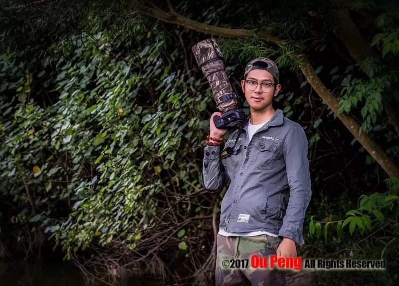 娆ч箯娣卞湷,娆ч箯鍔ㄧ墿涓栫晫