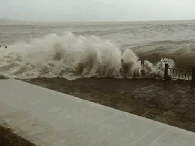 湖南诗词学会彭崇谷,彭崇谷经典诗句