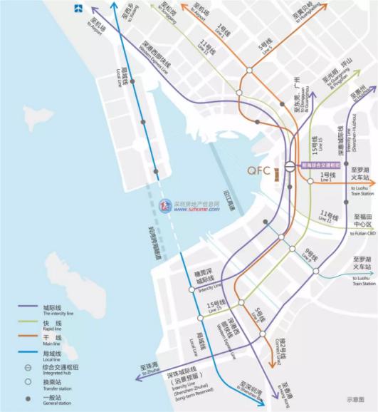 猛虎pk,猛虎和雄狮的pk