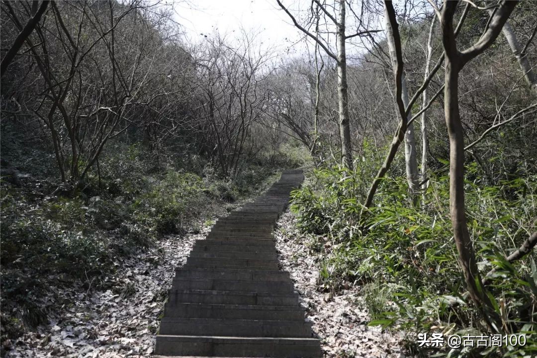 越王峥大峡谷：风景壮美，迷倒众生
