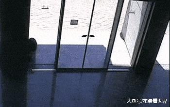 搞笑gif妹子的内心是崩溃的,搞笑gif妹子原来是个逗比