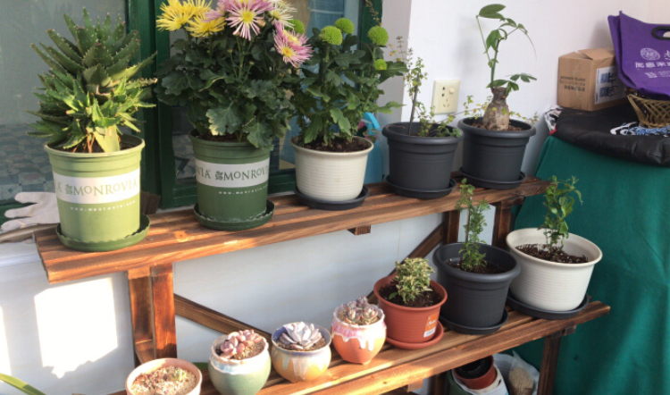 农家沤肥的简单方法,在家沤液肥新手教程