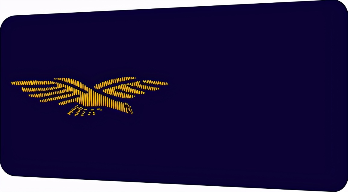 法国将军军衔等级,法国上校是什么军衔