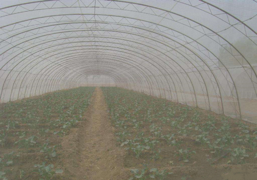 蔬菜大棚防虫网有必要装吗,山东蔬菜大棚用乙烯防虫网