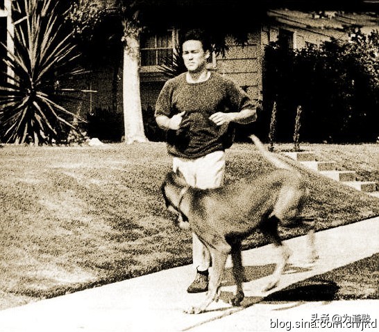 为道塾·截拳之道|如水适应：肢体表达的艺术之李小龙截拳道