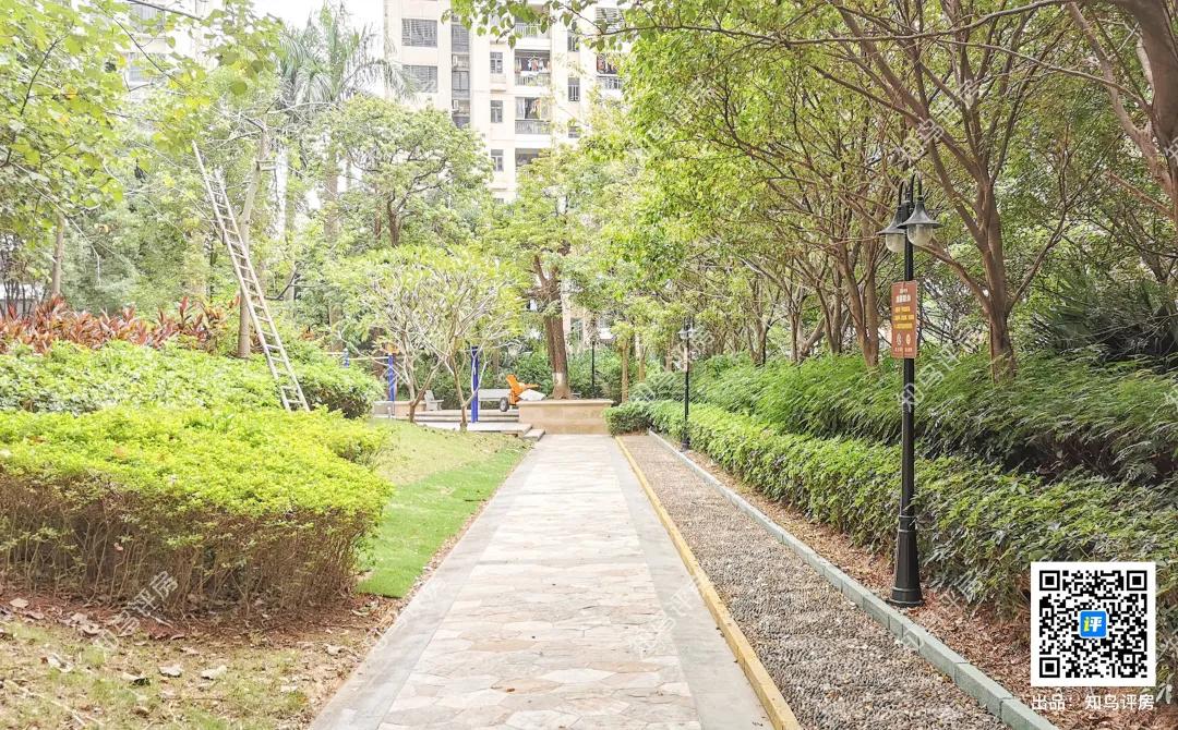 三所学校环绕的楼房,三所学校环绕的小区