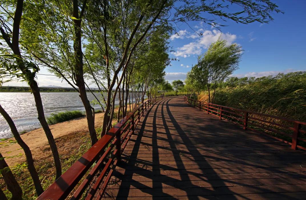 2020丰台文化和旅游消夏季活动正式启动！5条线路，游园、嬉水、赏花、亲子、夜游，全都有！