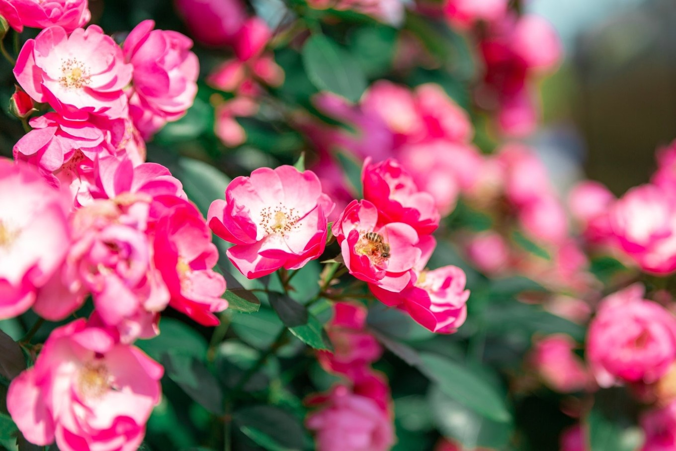 治愈圣地，共赴重庆合川铜梁，一见古今山水城