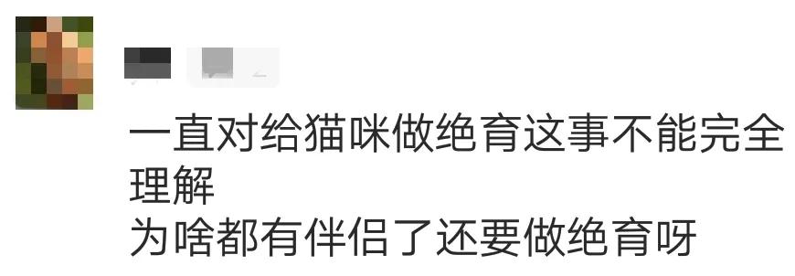 猫割了蛋,猫割了蛋会怎么样