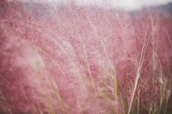 朋友圈推荐个免费又好玩的地方,广东人周末去哪玩小众景点