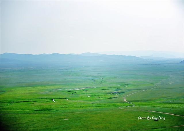 乌拉特羊肉和锡盟羊肉哪个好,锡盟羊肉跟内地羊肉有什么区别