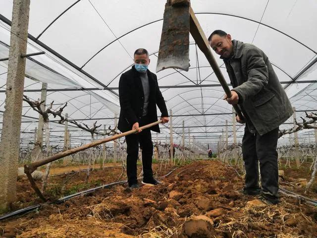 不减产不减量！疫情下，家庭农场主们这样忙活“生意经”