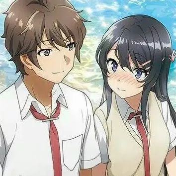 2021最受欢迎动漫cp投票,2020情人节cp榜单