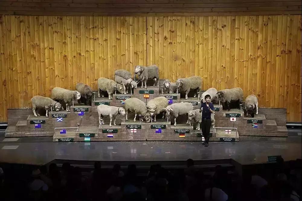 日本农场营收10亿经营秘诀,日本妈妈牧场怎么运营