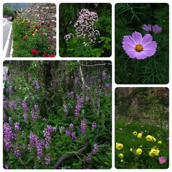 四姑娘山冬日旅行,2022年冬天四姑娘山游记