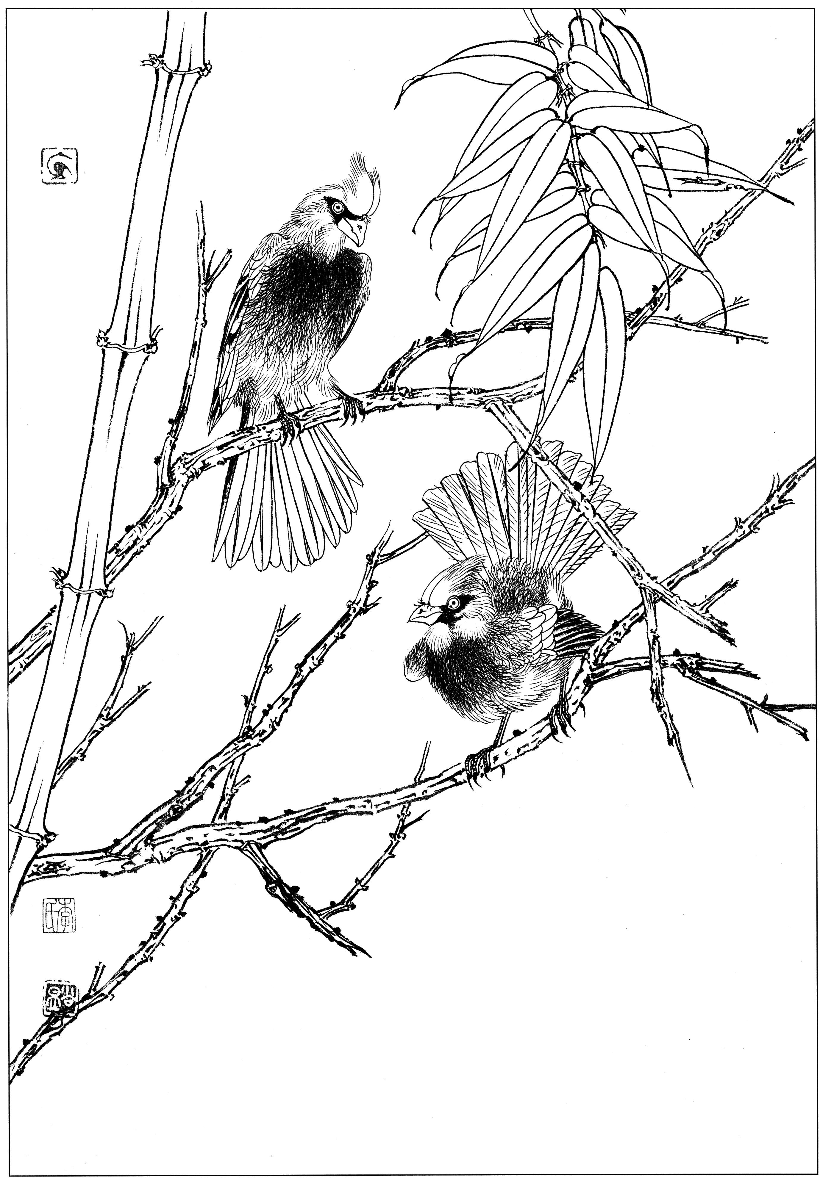 花鸟工笔四条屏白描高清大图,牡丹六尺横幅白描工笔花鸟底稿
