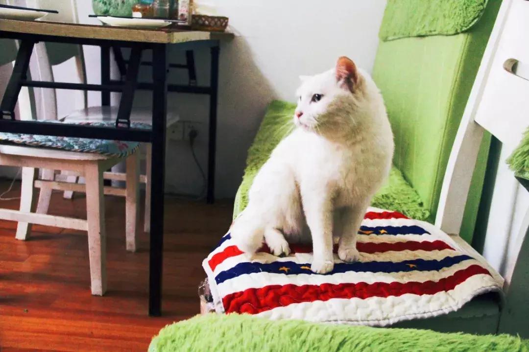 这家藏在老小区里的风味小馆，去一次就爱上话痨老板娘！