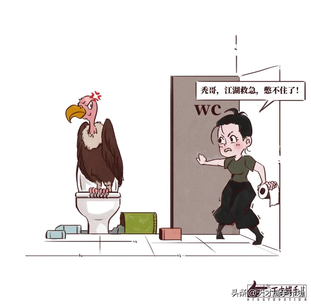 这个工作很带劲儿:94年女孩,三年救了60只猛兽的命