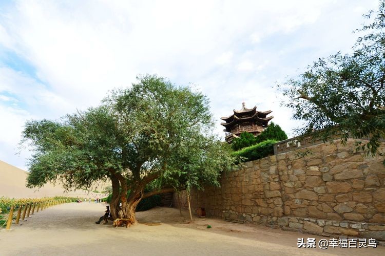 有了这攻略，自驾*藏西**游省心很多