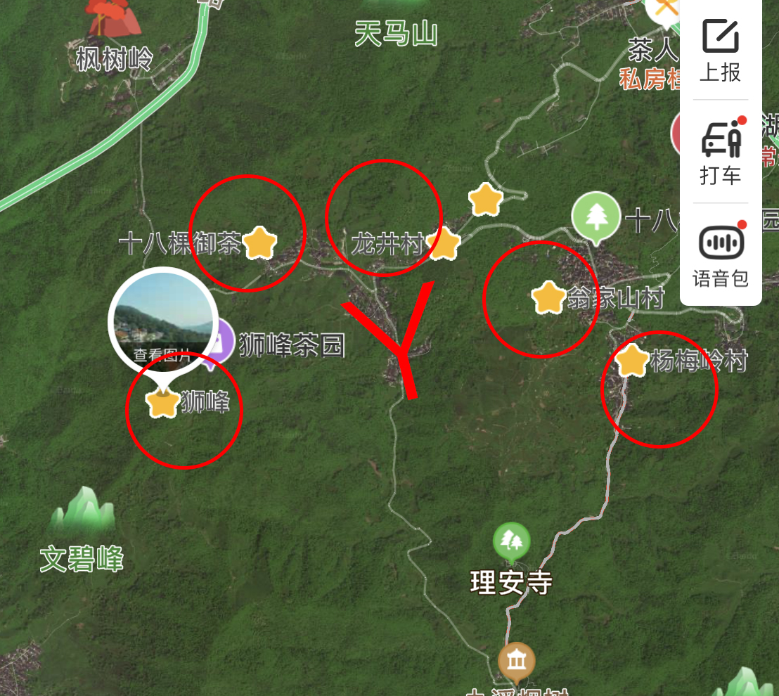 龙井哪里茶最正宗,龙井醉美山水茶