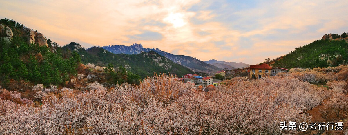 山东旅游景区自驾游,山东东营旅游景区